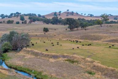 Farm Sold - VIC - Ancona - 3715 - Part ‘Ancona Station’ - Prime grazing land 160km from Melbourne  (Image 2)