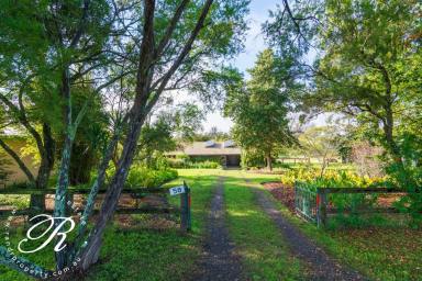 Farm For Sale - NSW - Faulkland - 2422 - Country Living Close to Town  (Image 2)