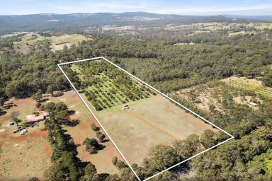 Farm For Sale - QLD - Hampton - 4352 - Your Dream Lifestyle Awaits in Beautiful Hampton!  (Image 2)