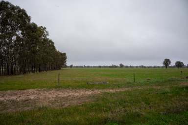 Farm For Sale - VIC - Clear Lake - 3409 - “Pollocks”  (Image 2)