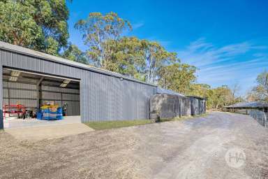 Farm For Sale - VIC - Mornington - 3931 - 10 Acres Of Rare Acreage Living in the Heart of Mornington  (Image 2)