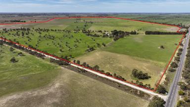 Farm For Sale - SA - Culburra - 5261 - Proven productive area  (Image 2)