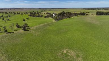 Farm For Sale - SA - Culburra - 5261 - Proven productive area  (Image 2)