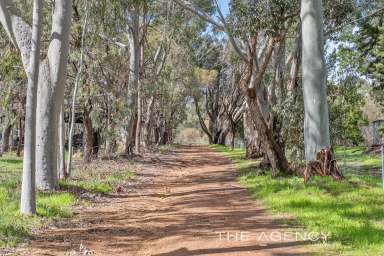 Farm For Sale - WA - Gidgegannup - 6083 - "Lakeside Living"  (Image 2)