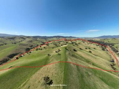 Farm For Sale - VIC - Ensay - 3895 - 198 WATTS CREEK ROAD ENSAY - FRASER FARM  (Image 2)