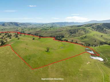 Farm For Sale - VIC - Ensay - 3895 - 198 WATTS CREEK ROAD ENSAY - FRASER FARM  (Image 2)