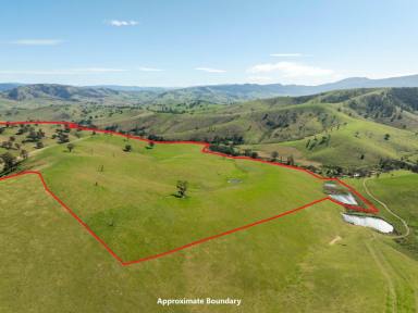 Farm For Sale - VIC - Ensay - 3895 - 198 WATTS CREEK ROAD ENSAY - FRASER FARM  (Image 2)