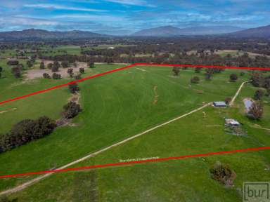 Farm Sold - VIC - Bonegilla - 3691 - “Tyrells” Ryan’s Rd – 200 Acres (80ha)  (Image 2)