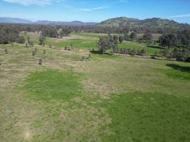 Farm Sold - VIC - Bonegilla - 3691 - “Jacobs” Conisbee Ln & Camp Rd – 300 Acres (120ha)  (Image 2)