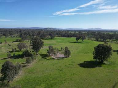 Farm Sold - VIC - Bonegilla - 3691 - “Jacobs” Conisbee Ln & Camp Rd – 300 Acres (120ha)  (Image 2)