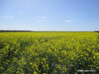 Farm For Sale - WA - Varley - 6355 - "McPhee's"  (Image 2)