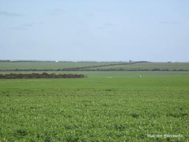 Farm For Sale - WA - Varley - 6355 - "McPhee's"  (Image 2)