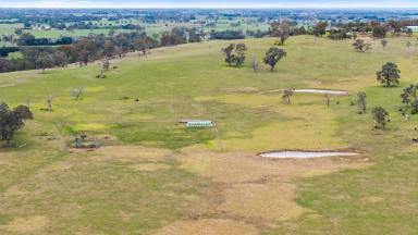 Farm For Sale - VIC - Tinamba West - 3859 - Picturesque, productive and perfectly located.  (Image 2)