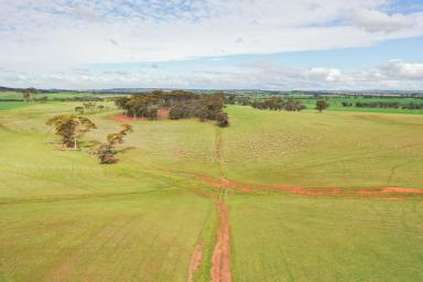 Farm For Sale - WA - Brookton - 6306 - Don't Miss It This Time!  (Image 2)