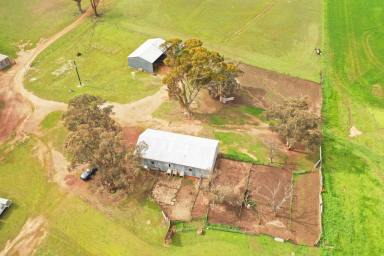 Farm For Sale - WA - Brookton - 6306 - Don't Miss It This Time!  (Image 2)