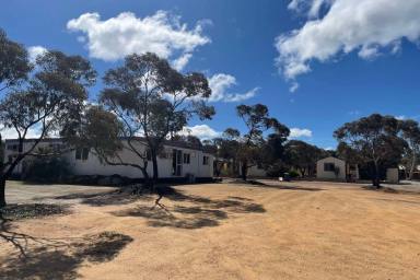 Farm For Sale - WA - Wongan Hills - 6603 - Freehold Lot 50 Wongan Road, Wongan Hills WA 
Exceptional LIfestyle - Business Opportunity  (Image 2)