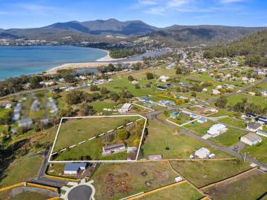 Farm For Sale - TAS - Orford - 7190 - East Coast lifestyle and development potential  (Image 2)