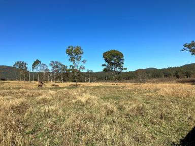 Farm For Sale - QLD - Blue Mountain - 4737 - "Old Oakdale"  (Image 2)