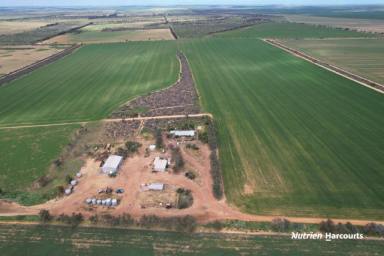 Farm For Sale - WA - West Binnu - 6532 - 'Harbrook Farm' - 2605ha (2407ha arable)  (Image 2)