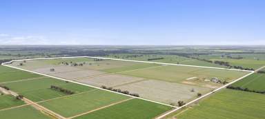 Farm For Sale - VIC - Katamatite - 3649 - Katamatite Grazing/Cropping Opportunity - 282 Ha (697 Acres)  (Image 2)