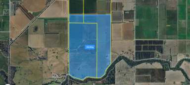 Farm For Sale - VIC - Katamatite - 3649 - Katamatite Grazing/Cropping Opportunity - 282 Ha (697 Acres)  (Image 2)