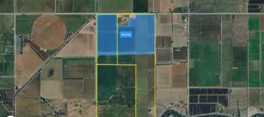 Farm For Sale - VIC - Katamatite - 3649 - Katamatite Grazing/Cropping Opportunity - 282 Ha (697 Acres)  (Image 2)