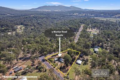 Farm For Sale - QLD - Bauple - 4650 - Exceptional Value!  (Image 2)