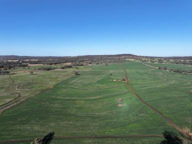 Farm For Sale - NSW - Ashford - 2361 - Rosehill Aggregation  (Image 2)