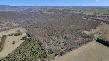 Farm For Sale - NSW - Running Stream - 2850 - Bush Block at 539 Razorback Road, Running Stream  (Image 2)