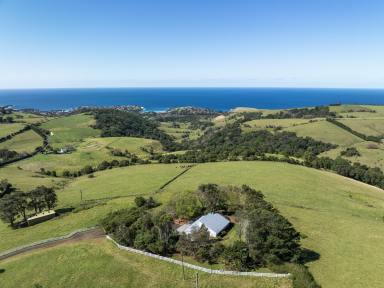 Farm Auction - NSW - Kiama - 2533 - 'Munna Munnora'  (Image 2)