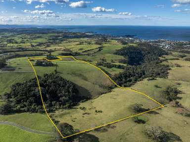 Farm For Sale - NSW - Kiama - 2533 - 'Munna Munnora'  (Image 2)