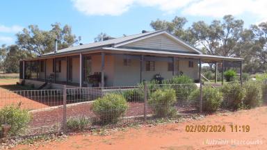 Farm Auction - NSW - Nymagee - 2831 - NEEDLEWOOD  (Image 2)