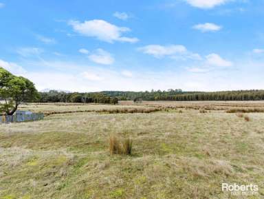 Farm For Sale - TAS - Erriba - 7310 - Over 48 Acres For Livestock or Weekend Lifestyle!  (Image 2)