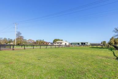 Farm For Sale - NSW - Williamtown - 2318 - Winners are Grinners  (Image 2)