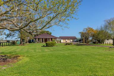 Farm For Sale - NSW - Williamtown - 2318 - Winners are Grinners  (Image 2)