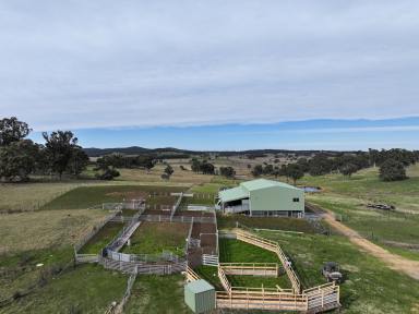 Farm For Sale - NSW - Binda - 2583 - Darlington  (Image 2)