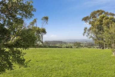 Farm For Sale - VIC - Korumburra South - 3950 - 10 acres with a planning permit  (Image 2)