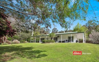 Farm For Sale - NSW - Warranulla - 2423 - LUXURIOUS LAKESIDE LIVING  (Image 2)