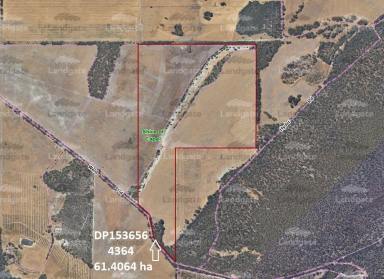 Farm For Sale - WA - Capel River - 6271 - Lot 4364 Weld Road, Capel River 61.4* Ha + adjoining 15* Ha Lease (Total 186 Acres)*  (Image 2)