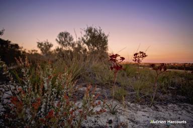 Farm For Sale - WA - Hopetoun - 6348 - Lake Entrance 4Ha Bush Block With Views  (Image 2)