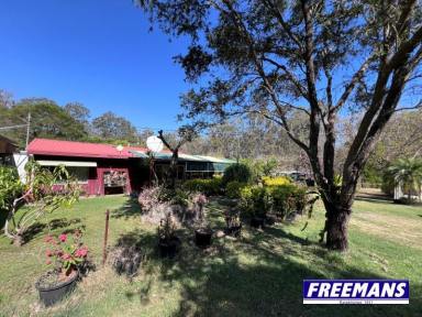 Farm For Sale - QLD - Wattle Camp - 4615 - 22 Acres offering complete privacy  (Image 2)