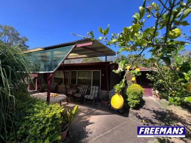 Farm For Sale - QLD - Wattle Camp - 4615 - 22 Acres offering complete privacy  (Image 2)