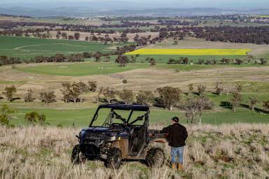 Farm Auction - NSW - Wellington - 2820 - Landmark Large-Scale Farming & Grazing  (Image 2)