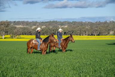 Farm Auction - NSW - Wellington - 2820 - Landmark Large-Scale Farming & Grazing  (Image 2)