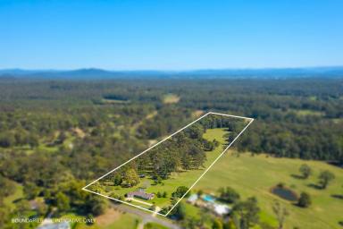 Farm For Sale - NSW - Lake Innes - 2446 - Summit Of Lake Innes (10.12 ha / 25 acres)  (Image 2)