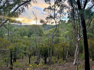 Farm For Sale - NSW - Goulburn - 2580 - Recreation - Location - Views - Privacy & Wildlife all sum up this idyllic lifestyle property  (Image 2)