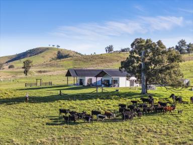 Farm For Sale - NSW - Glen William - 2321 - Luxury Living with the Acres to Match  (Image 2)