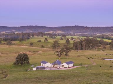 Farm For Sale - NSW - Glen William - 2321 - Luxury Living with the Acres to Match  (Image 2)