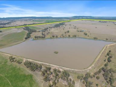 Farm Expressions of Interest - QLD - Millmerran - 4357 - “Ellerslie” Farming, Livestock, Irrigation, Abundance of Water Storage – 300 meg Dam  (Image 2)