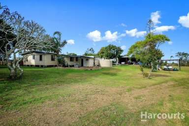 Farm For Sale - QLD - Welcome Creek - 4670 - JUST MINUTES AWAY TO MOORE PARK BEACH! Family home | 1.5 acres | 5-Bay Shed  (Image 2)